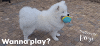 Wanna Play GIF