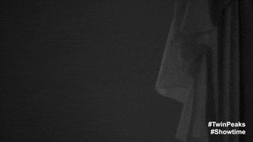 Twin Peaks Finale GIF by Twin Peaks on Showtime