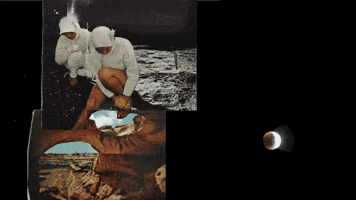 Moon divers