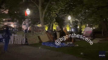 University of Chicago Campus Police Begin Clearing Protest Encampment