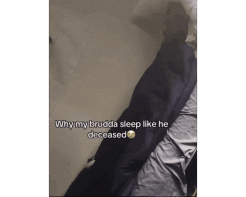 Sleep Vampire Sticker