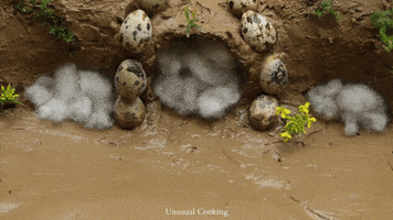 Fish Cooking GIF by UnusualCooking