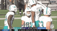 Miami Dolphins Football GIF by NFL