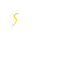 Happy New Year Reveillon Sticker by Clinica specialite