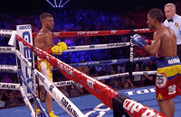 Bring It On Sport GIF by Top Rank Boxing