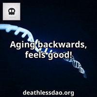 Circuitry Feels GIF by deathlessdao