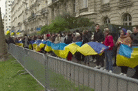 Protest Ukraine GIF by GIPHY News
