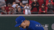 Excited Chicago Cubs GIF by MLB