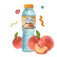 apabucovina bucovina bucovinafructata apabucovina peachbucovina Sticker