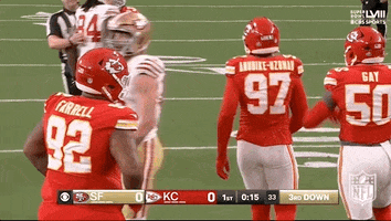 Super Bowl Sport GIF by NFL