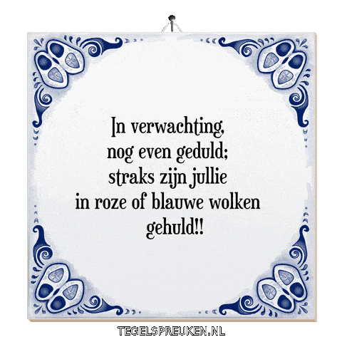 Baby Humor Sticker by Tegelspreuken.nl