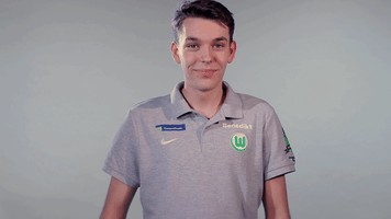 fifa 18 football GIF by VfL Wolfsburg