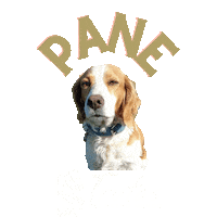 Truffle Trufa Sticker by Trufas del Nuevo Mundo