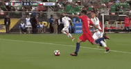 copa america centenario mexico GIF by Univision Deportes