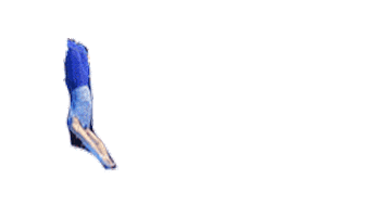 Circus Trapeze Sticker