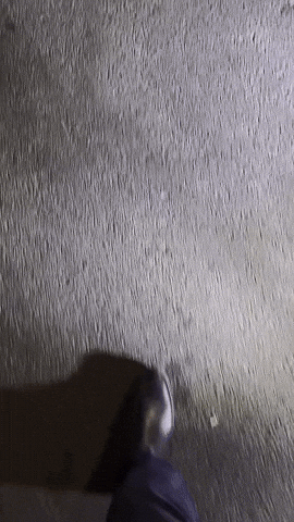 Persiiabaz GIF