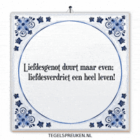 Nl Wijsheid GIF by Tegelspreuken.nl