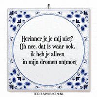 Humor Nl GIF by Tegelspreuken.nl