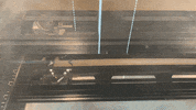 royaebtehaj  GIF