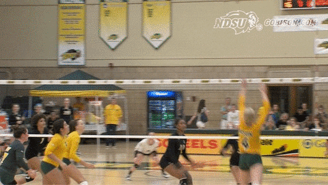 north dakota state bison GIF by NDSU Athletics