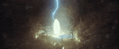 lionsgate GIF by The Age of Adaline