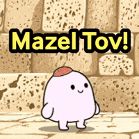 Mazel Tov Western Wall GIF by Bereishis Foundation