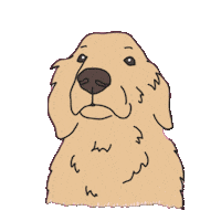 Golden Retriever No Sticker