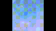 wildlife pigeon GIF