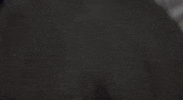 action shots GIF by AS Roma