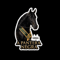 Nero GIF by Haras Misk
