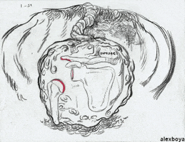 Fire Pm GIF by Alex Boya