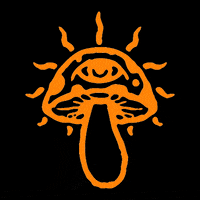 alxmd alxmd mushroom GIF