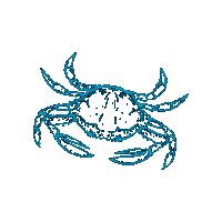 Cromer Crab Sticker by No1 Cromer