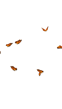 Butterfly Sticker