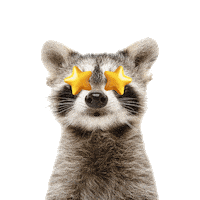 Stars Wow Sticker by bildschnittTV