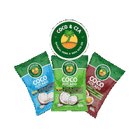 Cocoecia coco receita culinaria cocoecia Sticker