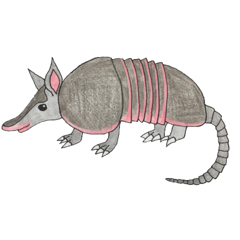 Armadillo Sticker by Julie Wierd