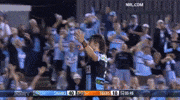Nrl Sharks GIF