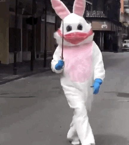 New Orleans Louisiana GIF