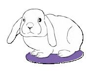 teapigstea tea bunny rabbit brew Sticker