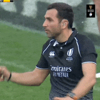Rugby Ref GIF by Guinness Six Nations