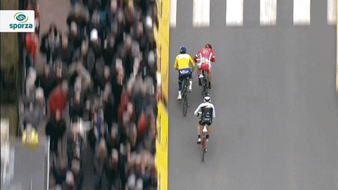 GIF by Sporza