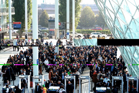 Caterglobe giphygifmaker GIF