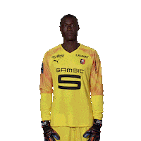 Football Foot Sticker by Stade Rennais F.C.