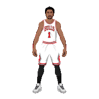 Chicago Bulls Celebration Sticker by Panini America