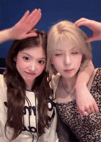 Bae GIF