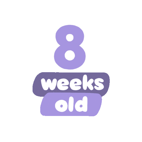 8 Weeks Old Sticker by westeggpress