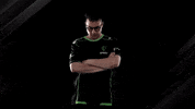 Head GIF by Sprout