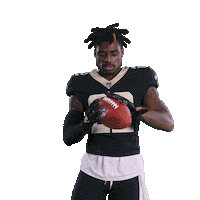Celebrate Saints Football Sticker by New Orleans Saints