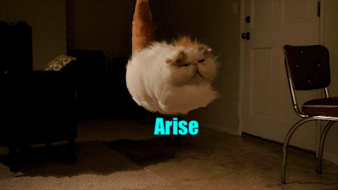 arise GIF